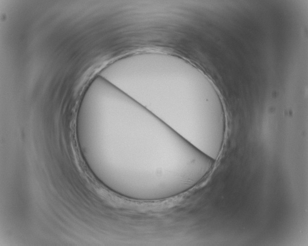 X0000053090001200508012045