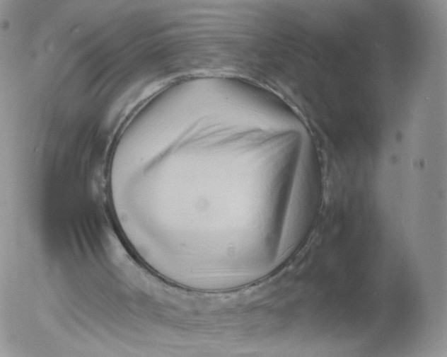 X0000053090002200508012045