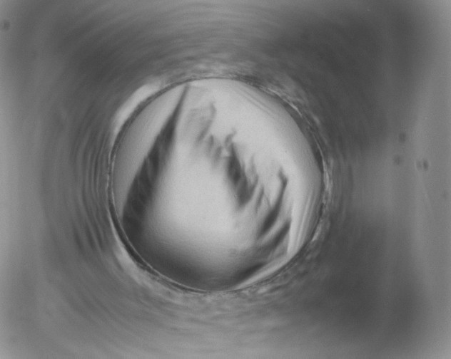 X0000053090003200508012045