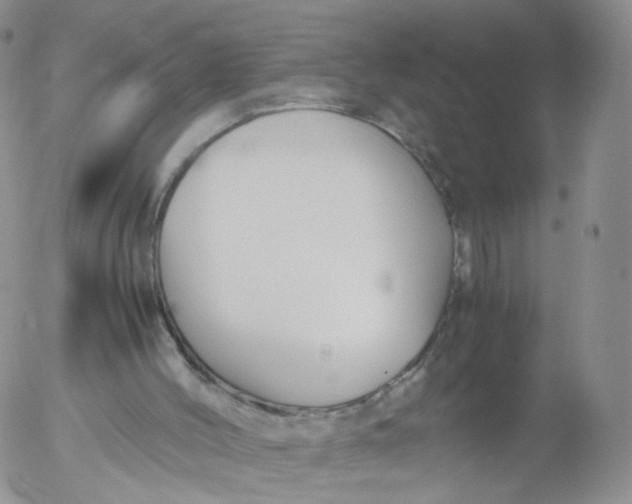 X0000053090004200508012045