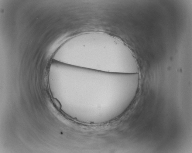 X0000053090005200508012044