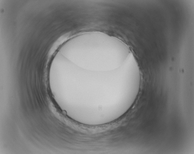 X0000053090006200508012044