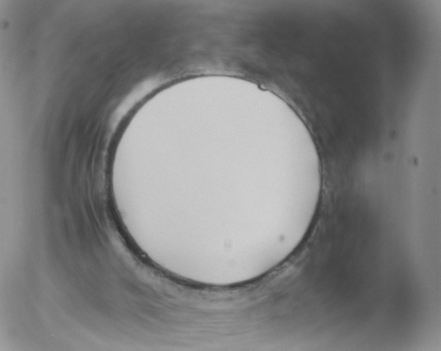 X0000053090008200508012044