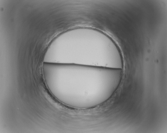 X0000053090009200508012044