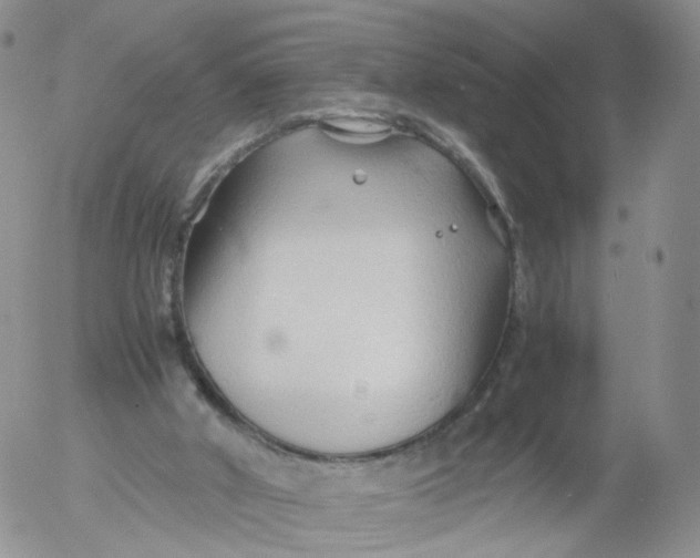 X0000053090010200508012044