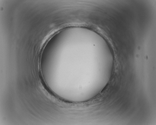 X0000053090011200508012044