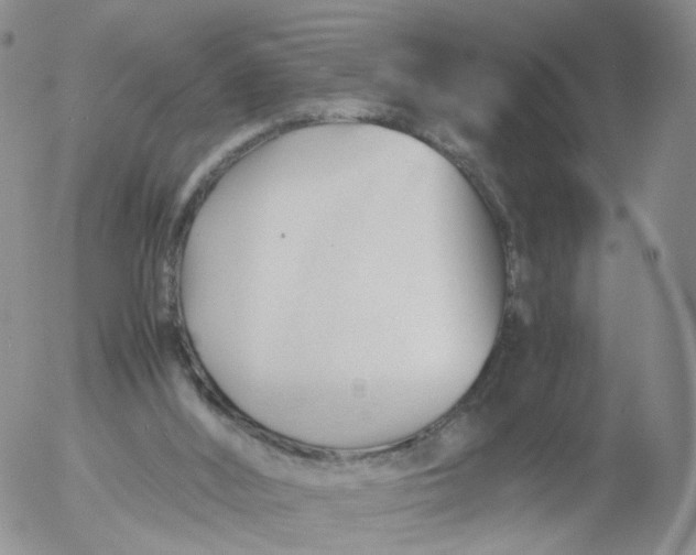 X0000053090012200508012044