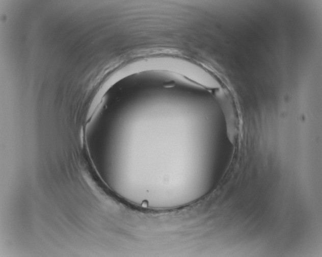 X0000053090013200508012044