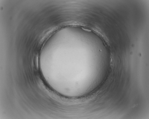 X0000053090014200508012044