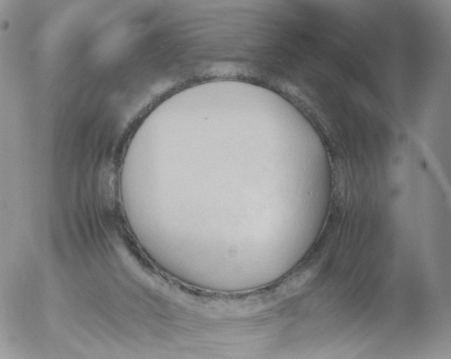 X0000053090016200508012044