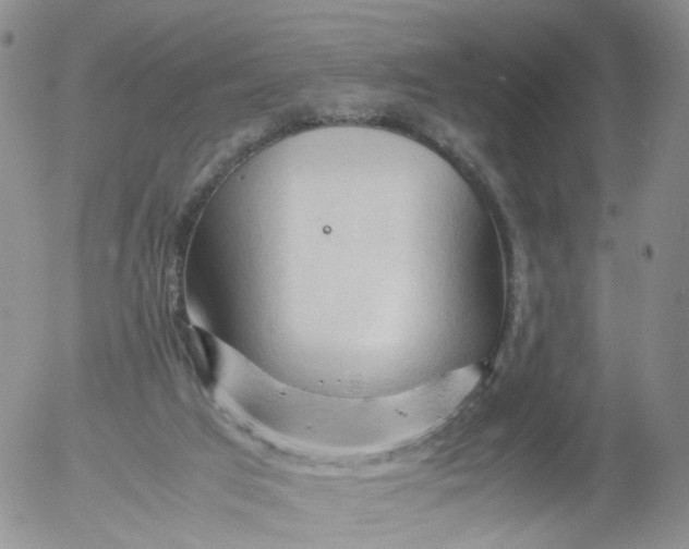 X0000053090017200508012044