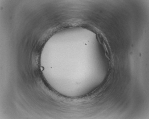 X0000053090018200508012044