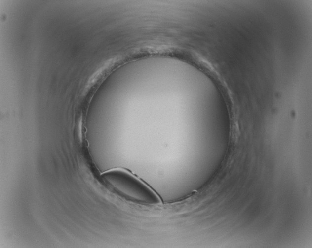 X0000053090019200508012044