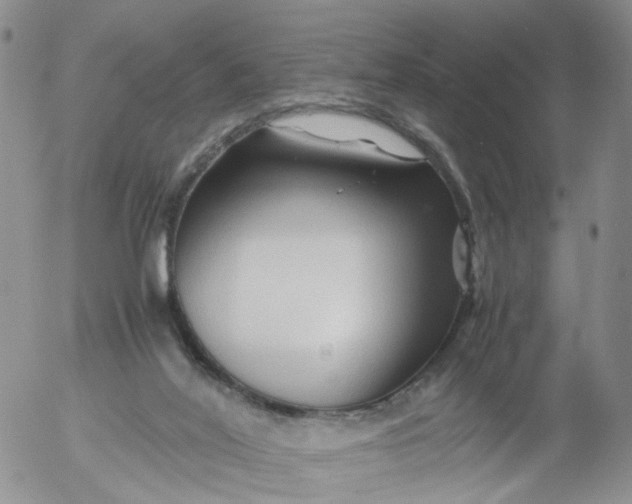 X0000053090020200508012044