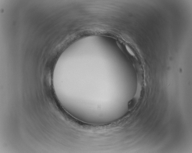 X0000053090021200508012044