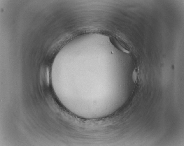 X0000053090022200508012044