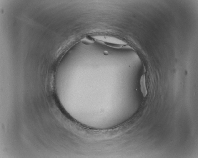 X0000053090023200508012044