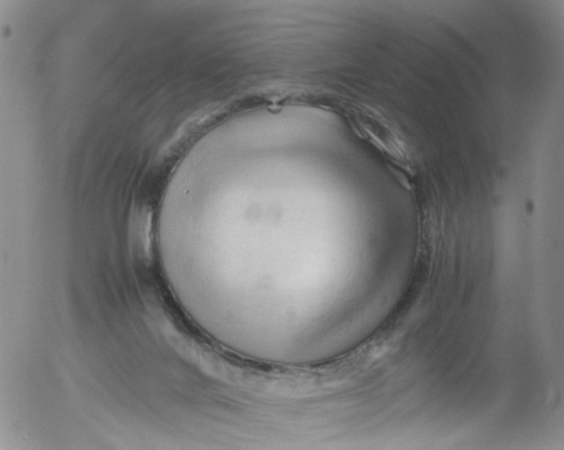 X0000053090024200508012044