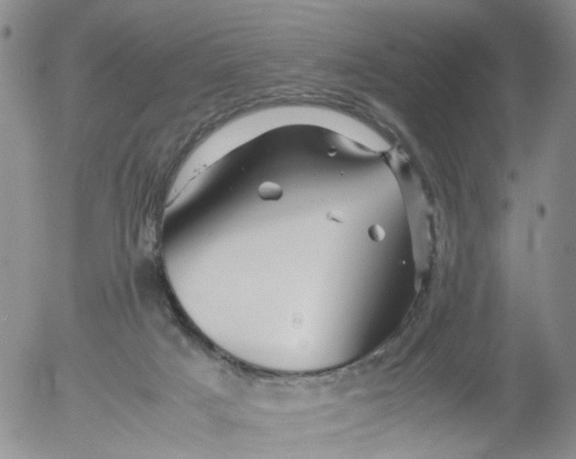 X0000053090025200508012044