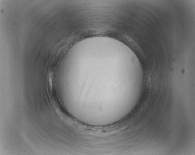 X0000053090026200508012044