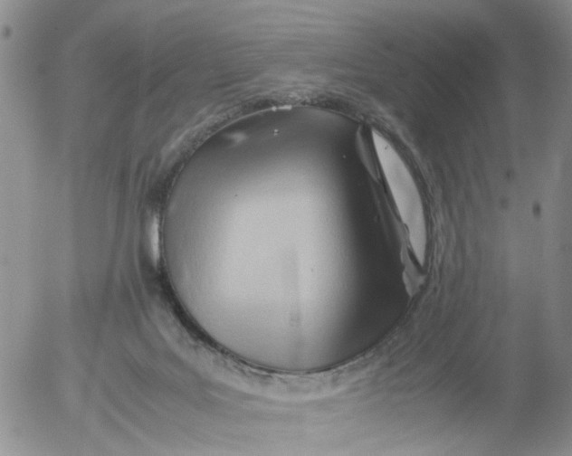 X0000053090027200508012044