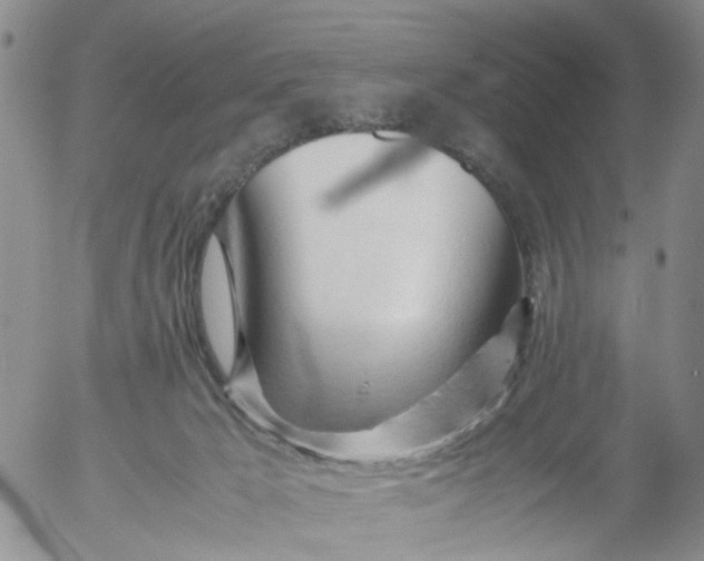 X0000053090029200508012044