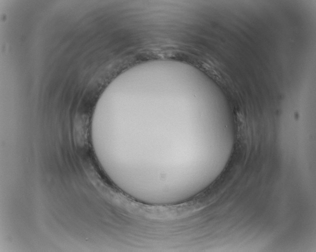 X0000053090030200508012044