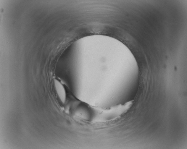 X0000053090031200508012044