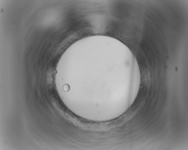 X0000053090032200508012044