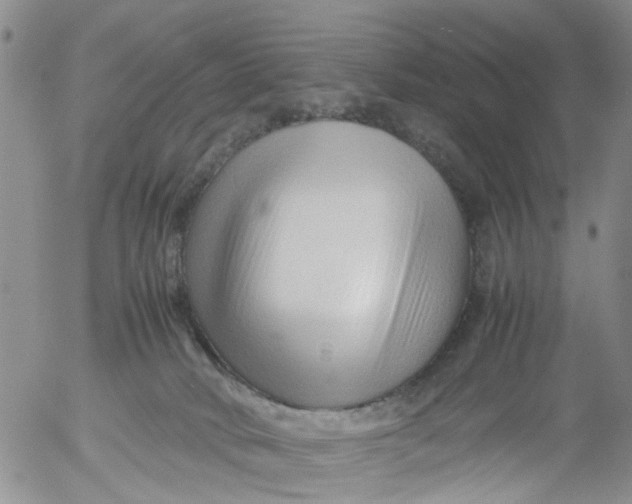 X0000053090034200508012044