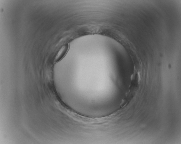 X0000053090035200508012044