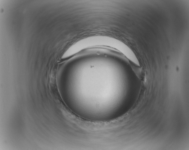 X0000053090037200508012044