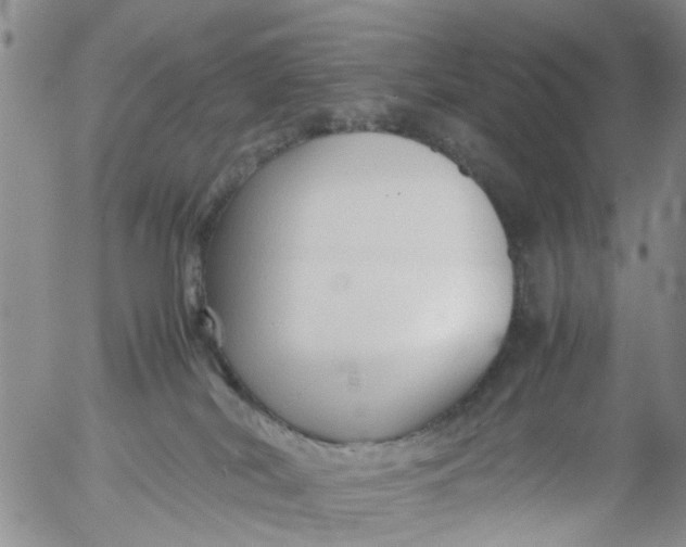 X0000053090038200508012044