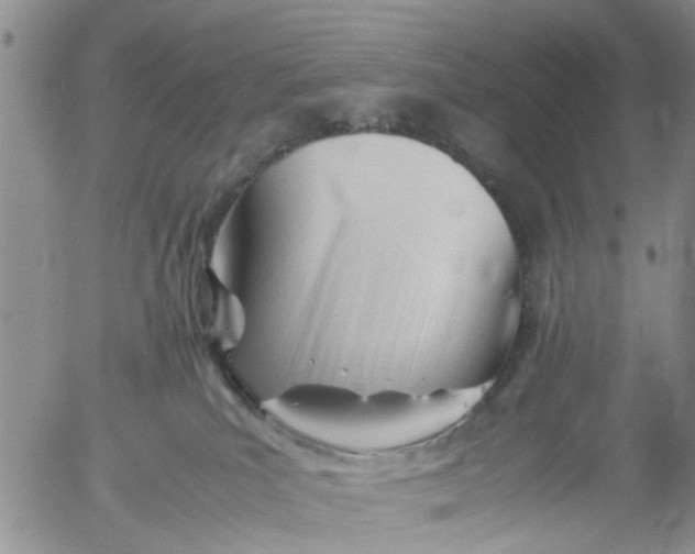 X0000053090039200508012044