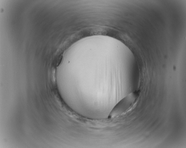 X0000053090041200508012044