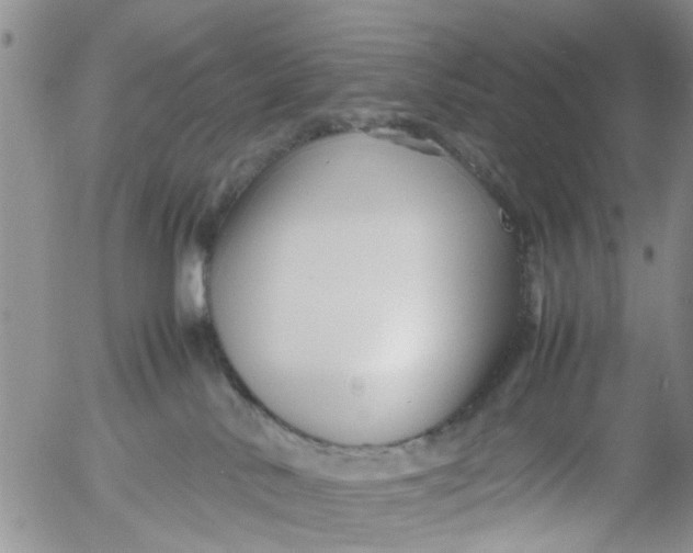 X0000053090042200508012044