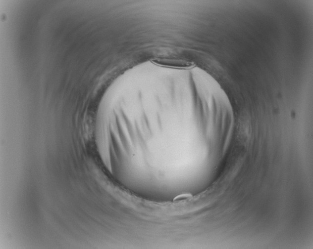 X0000053090043200508012044