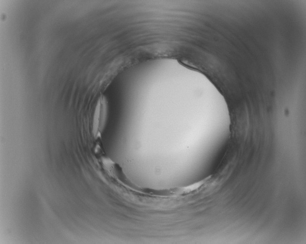 X0000053090044200508012044