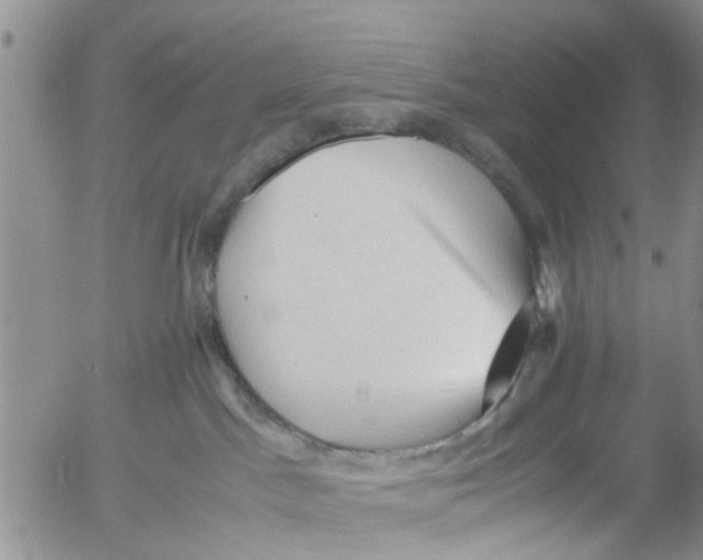 X0000053090045200508012044