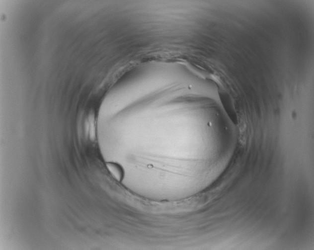 X0000053090046200508012044