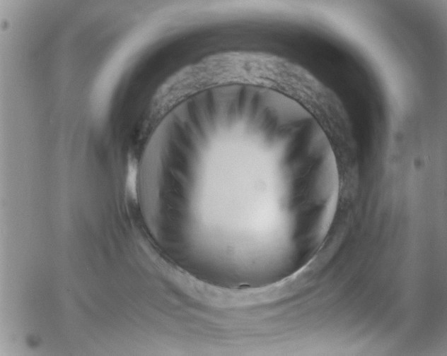 X0000053090047200508012044