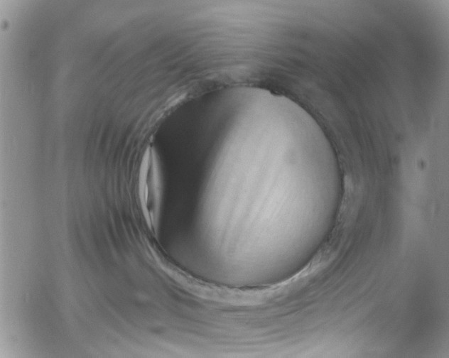 X0000053090048200508012044