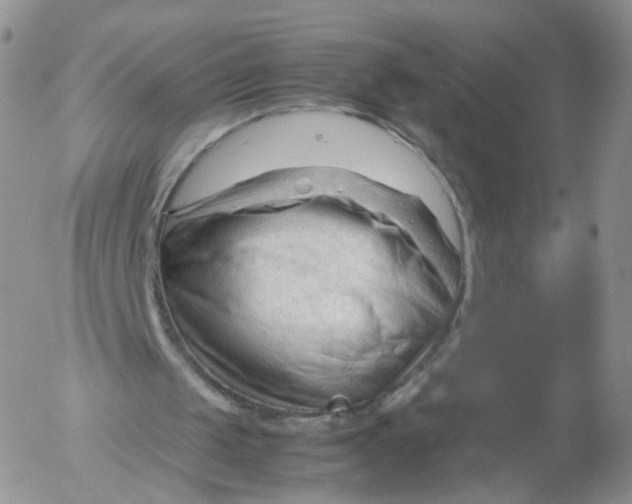 X0000053090049200508012043