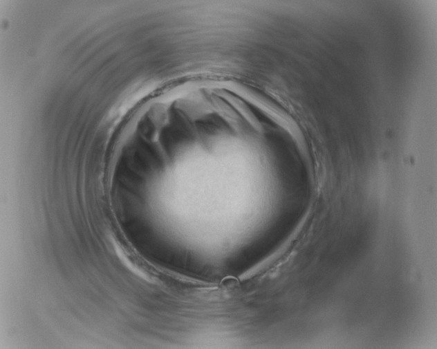 X0000053090050200508012043