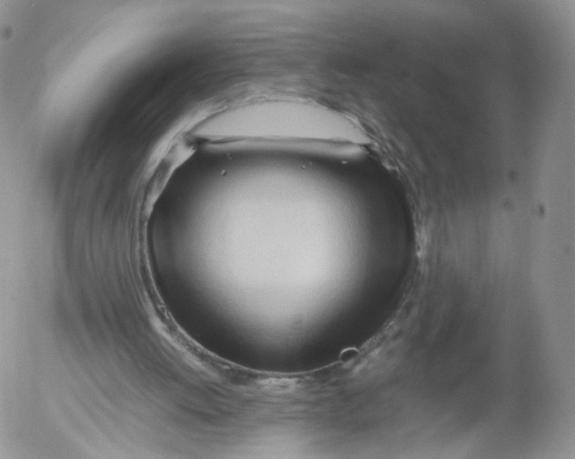 X0000053090052200508012043