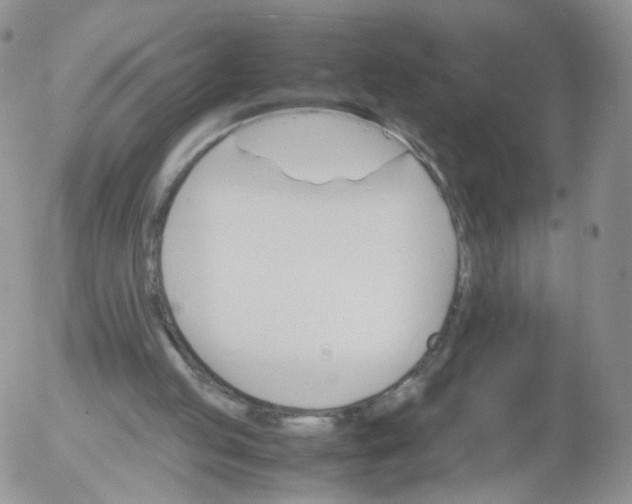 X0000053090053200508012043