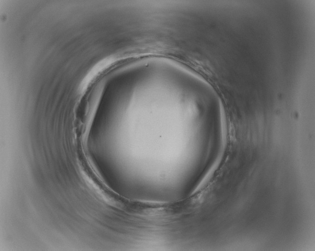 X0000053090054200508012043