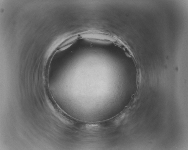 X0000053090055200508012043