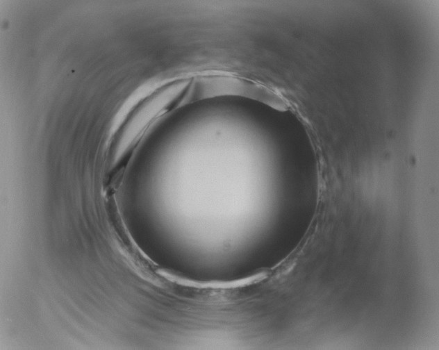 X0000053090056200508012043