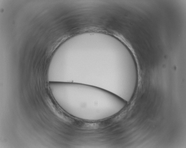 X0000053090057200508012043